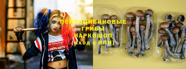 скорость Алзамай