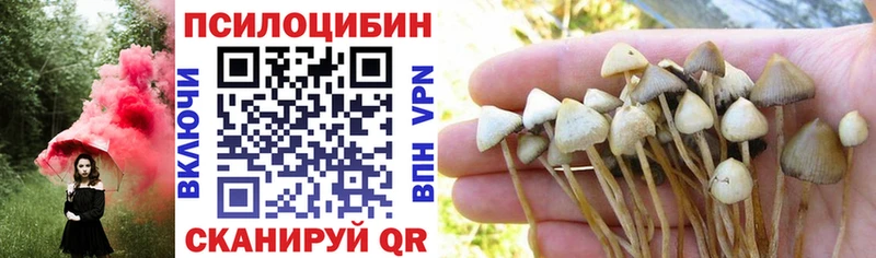 купить закладку  Лукоянов  hydra зеркало  Галлюциногенные грибы мицелий 